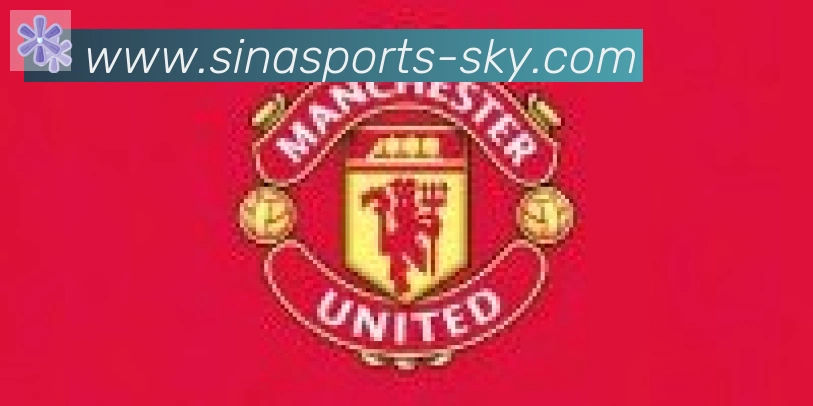 新浪体育合作伙伴